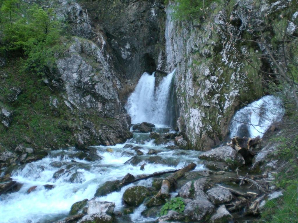 Apartamento Haus Alpenglühn Abtenau Exterior foto